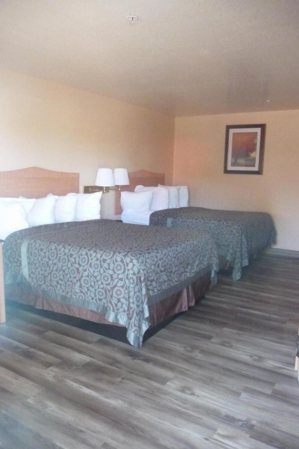 Sierra Inn Image 47